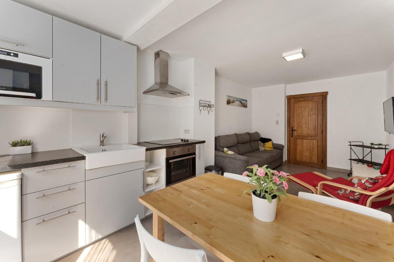 Ruime Woning 10P Met Zonnige Tuin & Nabij Strand Бланкенберге Экстерьер фото